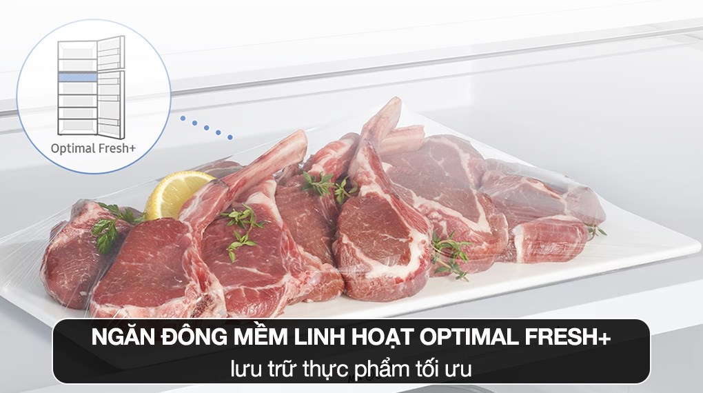 Tủ lạnh Samsung Inverter 305L RT31CG5424B1SV - Ngăn đông mềm giữ tươi lâu, không cần rã đông