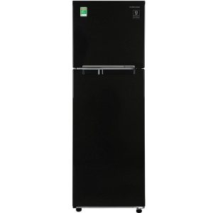 samsung rt25m4032bu sv 1 org 2 - TỦ LẠNH SAMSUNG RT25M4032BU/SV 256L