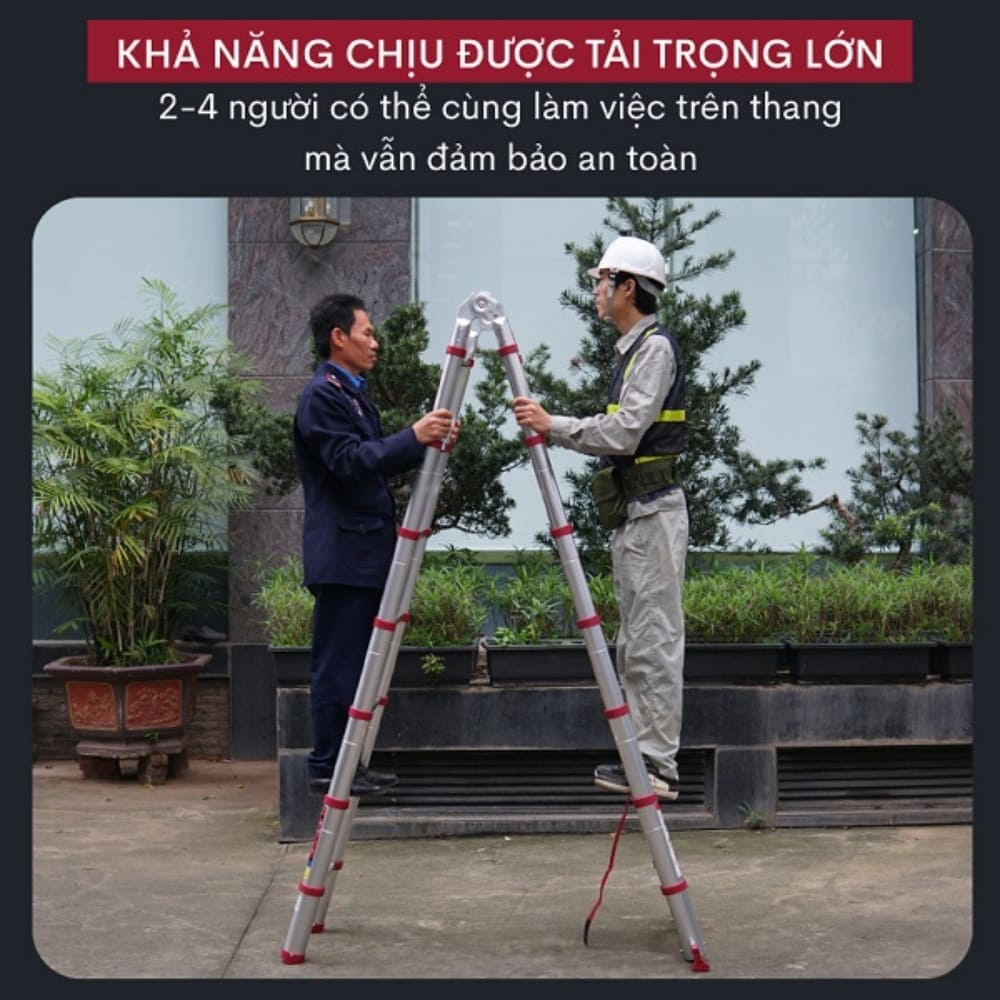 Thang nhôm rút gọn đơn Fujihome TLA08R với khả năng chịu tải cao