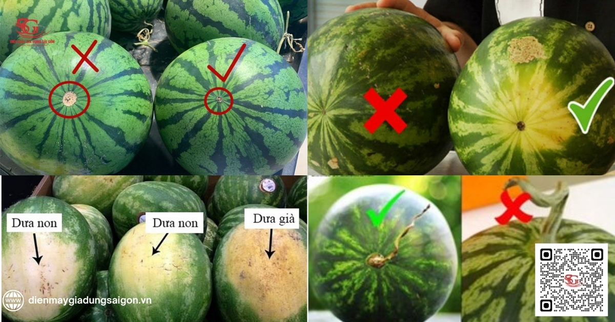 Những mẹo chọn dưa hấu ngon