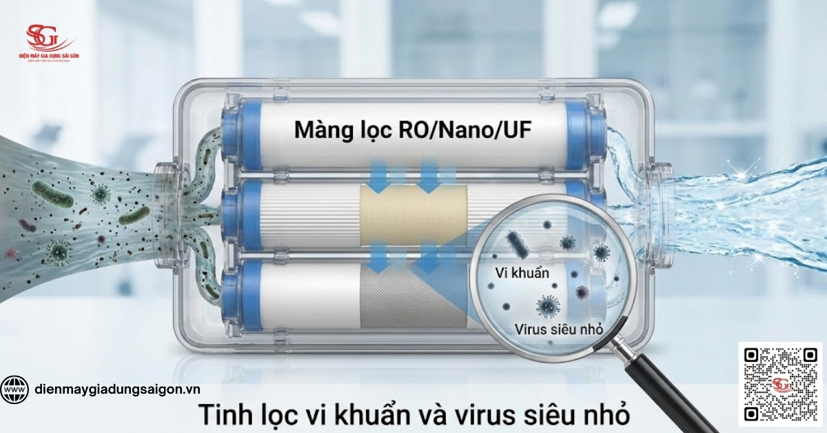 Màng lọc RO/Nano/UF: Tinh lọc vi khuẩn và virus siêu nhỏ