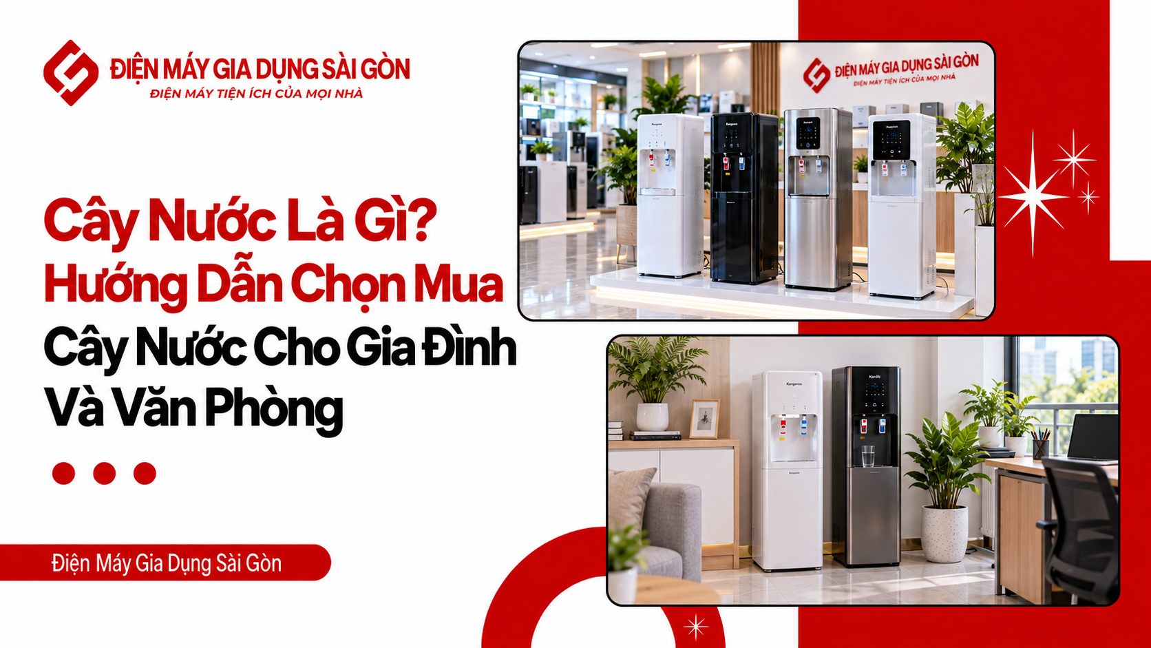Cây Nước Là Gì? Hướng Dẫn Chọn Mua Cây Nước Cho Gia Đình Và Văn Phòng